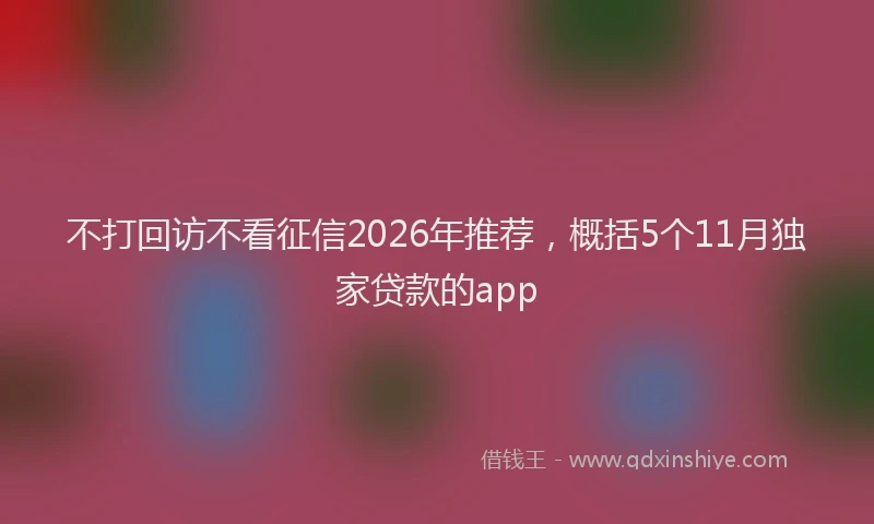 不打回访不看征信2026年推荐，概括5个11月独家贷款的app