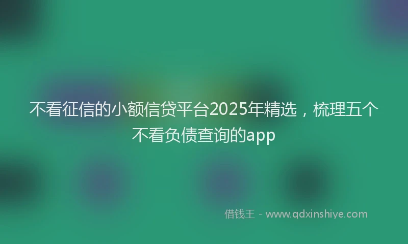 不看征信的小额信贷平台2025年精选，梳理五个不看负债查询的app