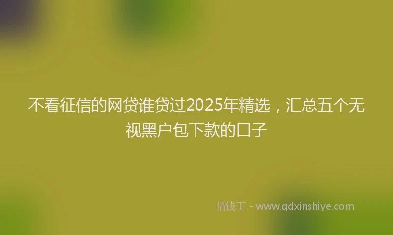 不看征信的网贷谁贷过2025年精选，汇总五个无视黑户包下款的口子