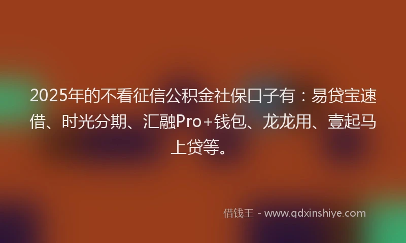 2025年的不看征信公积金社保口子有：易贷宝速借、时光分期、汇融Pro+钱包、龙龙用、壹起马上贷等。