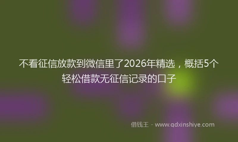 不看征信放款到微信里了2026年精选，概括5个轻松借款无征信记录的口子