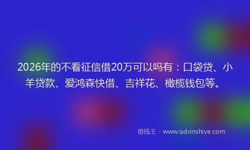 2026年的不看征信借20万可以吗有：口袋贷、小羊贷款、爱鸿森快借、吉祥花、橄榄钱包等。