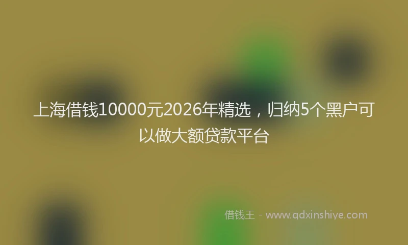 上海借钱10000元2026年精选，归纳5个黑户可以做大额贷款平台
