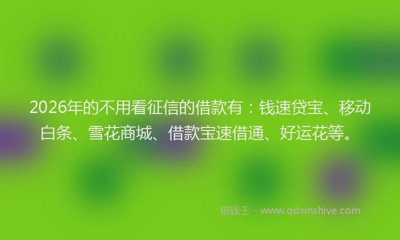 2026年的不用看征信的借款有：钱速贷宝、移动白条、雪花商城、借款宝速借通、好运花等。