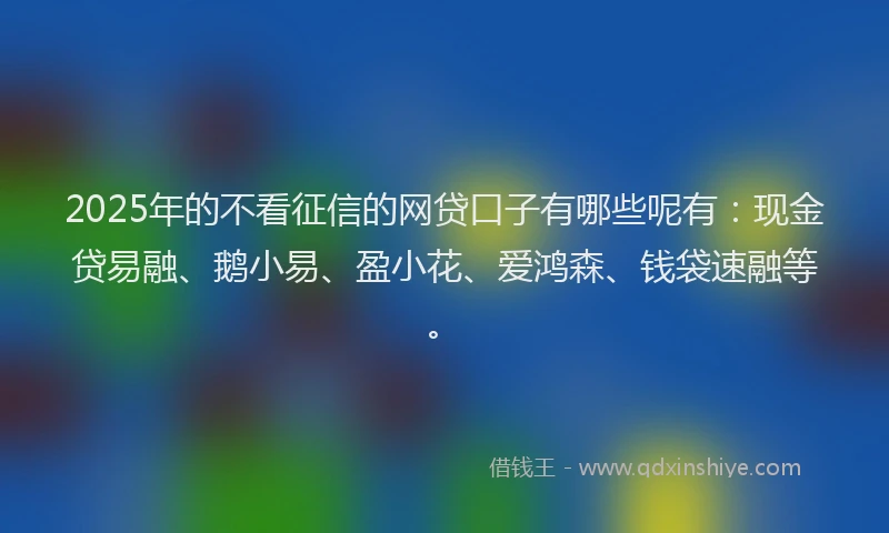 2025年的不看征信的网贷口子有哪些呢有：现金贷易融、鹅小易、盈小花、爱鸿森、钱袋速融等。