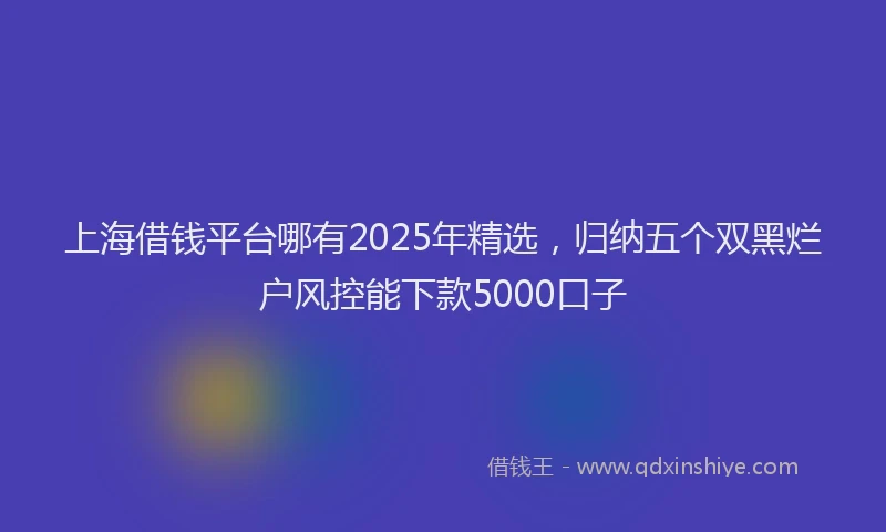 上海借钱平台哪有2025年精选，归纳五个双黑烂户风控能下款5000口子
