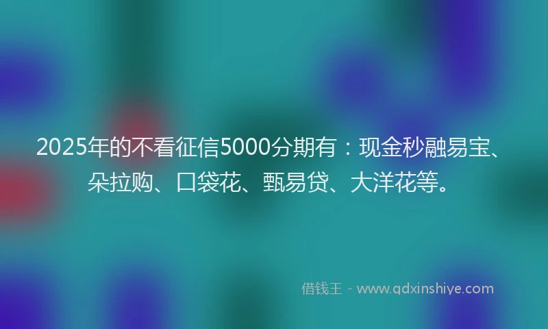 2025年的不看征信5000分期有:现金秒融易宝、朵拉购、口袋花、甄易贷、大洋花等。