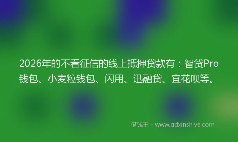2026年的不看征信的线上抵押贷款有：智贷Pro钱包、小麦粒钱包、闪用、迅融贷、宜花呗等。