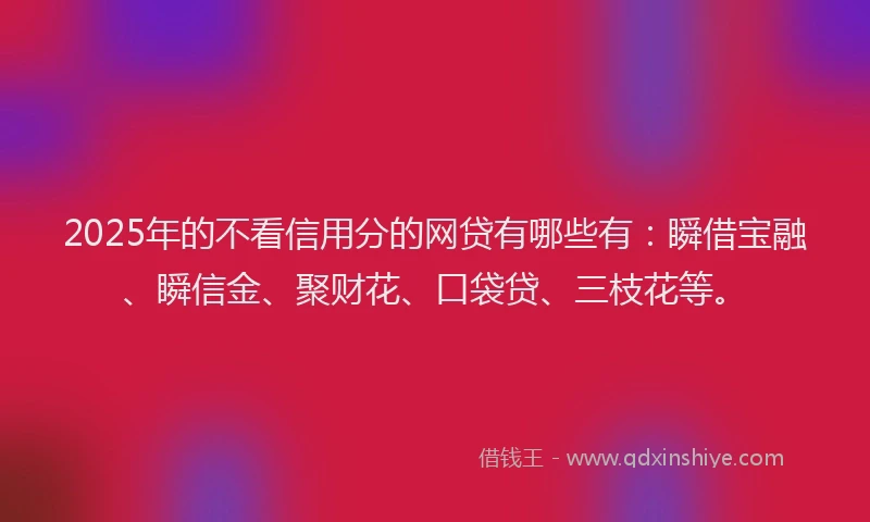 2025年的不看信用分的网贷有哪些有：瞬借宝融、瞬信金、聚财花、口袋贷、三枝花等。