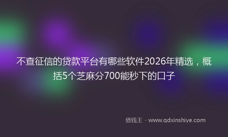 不查征信的贷款平台有哪些软件2026年精选，概括5个芝麻分700能秒下的口子