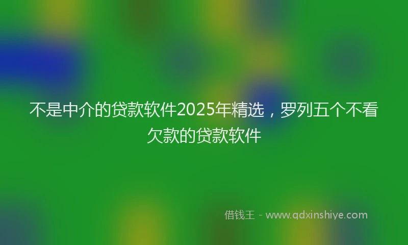 不是中介的贷款软件2025年精选，罗列五个不看欠款的贷款软件