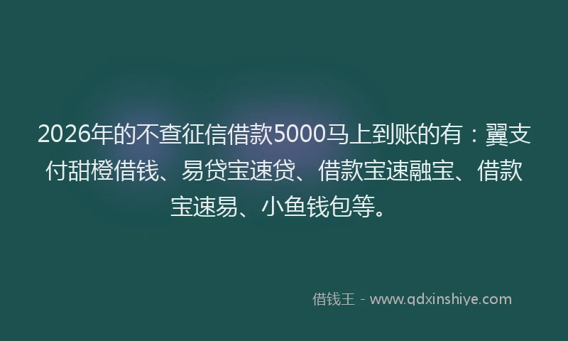 2026年的不查征信借款5000马上到账的有：翼支付甜橙借钱、易贷宝速贷、借款宝速融宝、借款宝速易、小鱼钱包等。