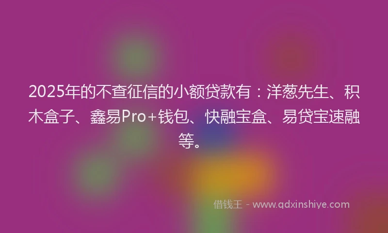2025年的不查征信的小额贷款有：洋葱先生、积木盒子、鑫易Pro+钱包、快融宝盒、易贷宝速融等。