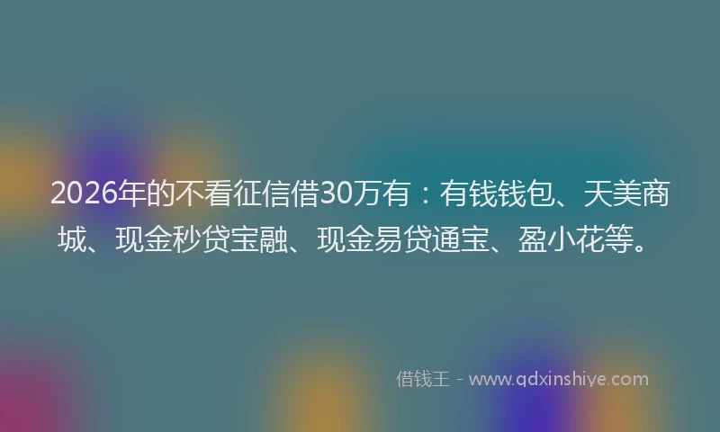 2026年的不看征信借30万有：有钱钱包、天美商城、现金秒贷宝融、现金易贷通宝、盈小花等。