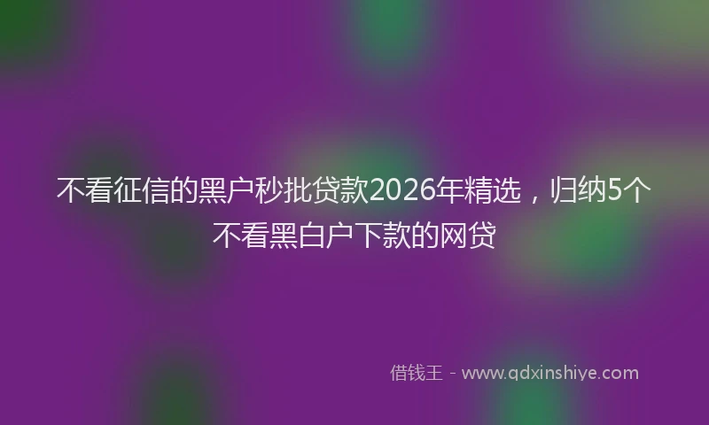 不看征信的黑户秒批贷款2026年精选，归纳5个不看黑白户下款的网贷