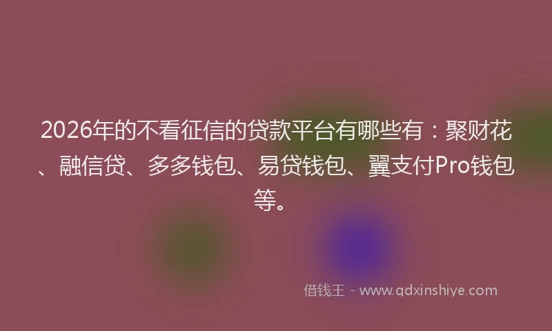 2026年的不看征信的贷款平台有哪些有：聚财花、融信贷、多多钱包、易贷钱包、翼支付Pro钱包等。