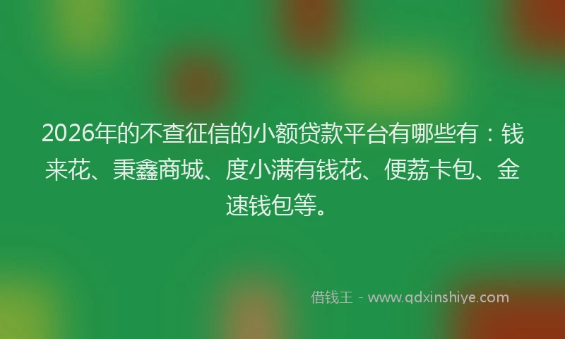 2026年的不查征信的小额贷款平台有哪些有：钱来花、秉鑫商城、度小满有钱花、便荔卡包、金速钱包等。