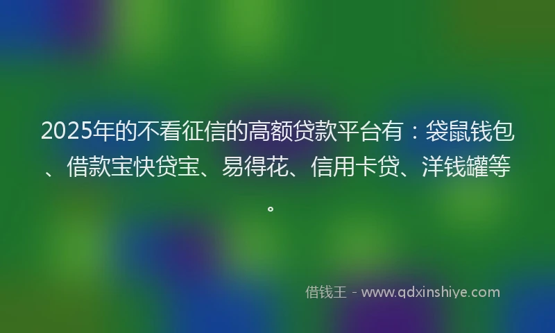 2025年的不看征信的高额贷款平台有：袋鼠钱包、借款宝快贷宝、易得花、信用卡贷、洋钱罐等。