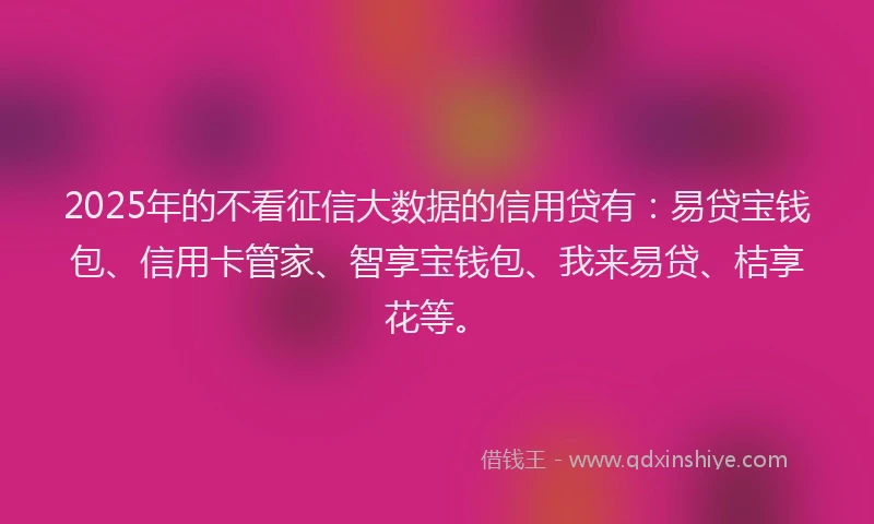 2025年的不看征信大数据的信用贷有：易贷宝钱包、信用卡管家、智享宝钱包、我来易贷、桔享花等。