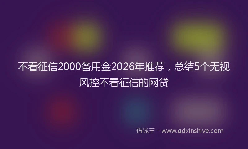 不看征信2000备用金2026年推荐，总结5个无视风控不看征信的网贷