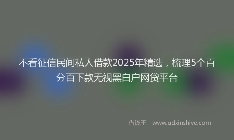 不看征信民间私人借款2025年精选，梳理5个百分百下款无视黑白户网贷平台