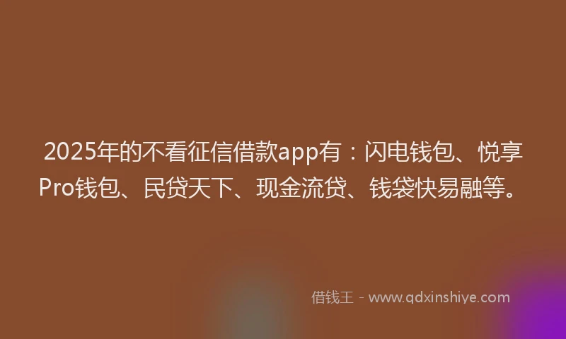 2025年的不看征信借款app有：闪电钱包、悦享Pro钱包、民贷天下、现金流贷、钱袋快易融等。