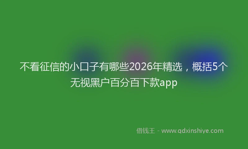 不看征信的小口子有哪些2026年精选，概括5个无视黑户百分百下款app
