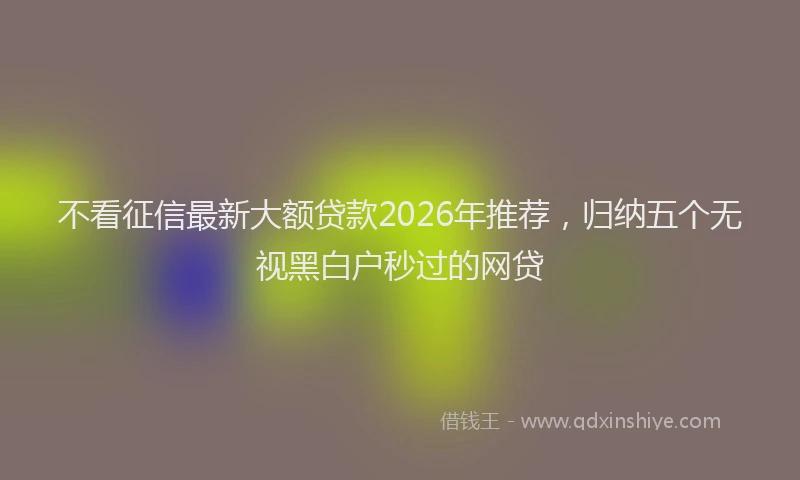 不看征信最新大额贷款2026年推荐，归纳五个无视黑白户秒过的网贷