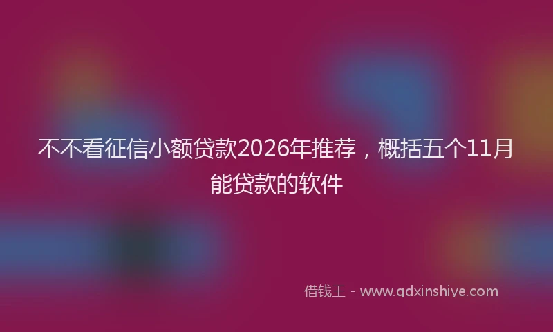 不不看征信小额贷款2026年推荐，概括五个11月能贷款的软件