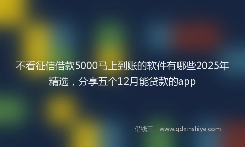 不看征信借款5000马上到账的软件有哪些2025年精选，分享五个12月能贷款的app