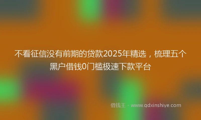 不看征信没有前期的贷款2025年精选，梳理五个黑户借钱0门槛极速下款平台
