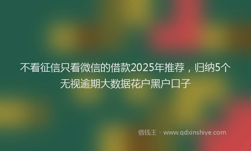 不看征信只看微信的借款2025年推荐，归纳5个无视逾期大数据花户黑户口子