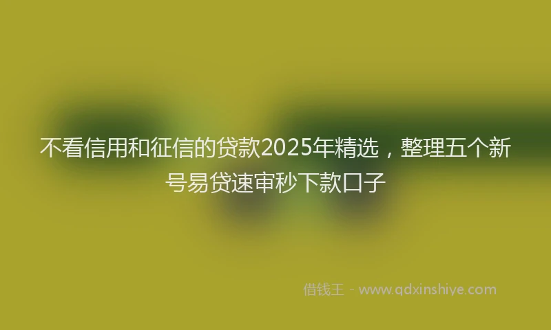 不看信用和征信的贷款2025年精选，整理五个新号易贷速审秒下款口子