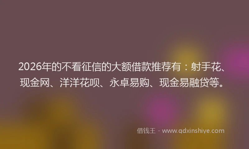 2026年的不看征信的大额借款推荐有：射手花、现金网、洋洋花呗、永卓易购、现金易融贷等。