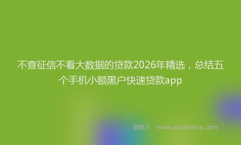 不查征信不看大数据的贷款2026年精选，总结五个手机小额黑户快速贷款app
