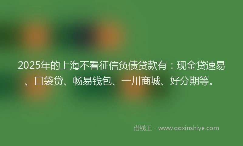 2025年的上海不看征信负债贷款有：现金贷速易、口袋贷、畅易钱包、一川商城、好分期等。
