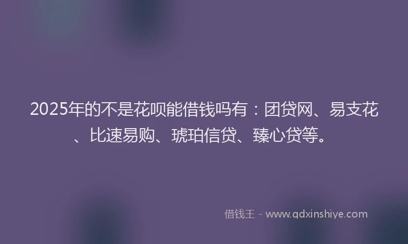2025年的不是花呗能借钱吗有：团贷网、易支花、比速易购、琥珀信贷、臻心贷等。