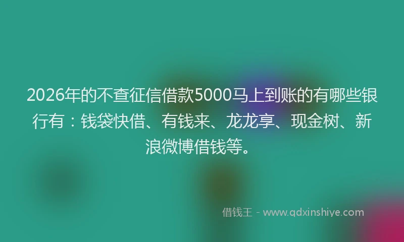 2026年的不查征信借款5000马上到账的有哪些银行有:钱袋快借、有钱来、龙龙享、现金树、新浪微博借钱等。