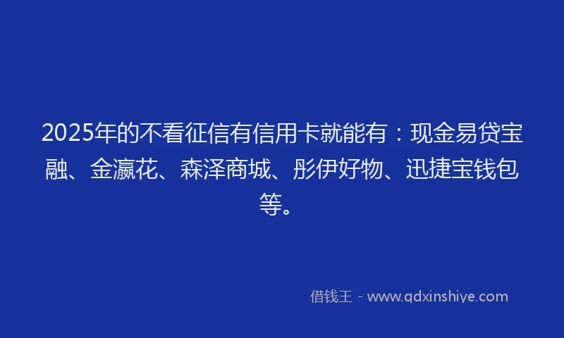 2025年的不看征信有信用卡就能有:现金易贷宝融、金瀛花、森泽商城、彤伊好物、迅捷宝钱包等。
