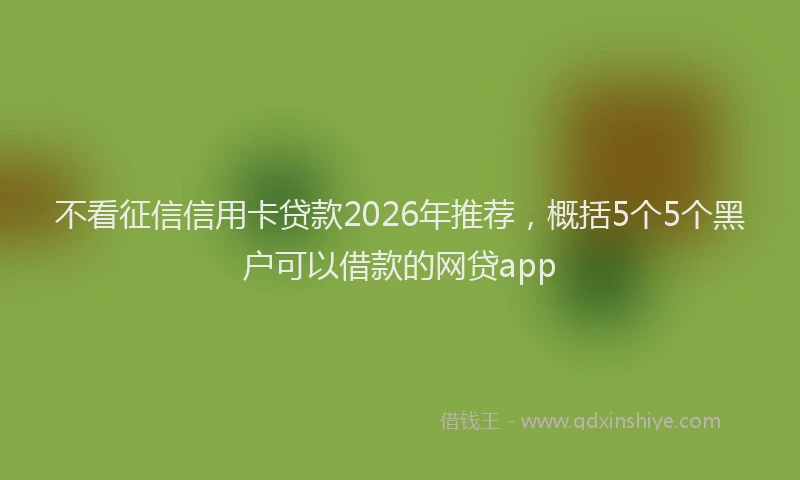 不看征信信用卡贷款2026年推荐，概括5个5个黑户可以借款的网贷app