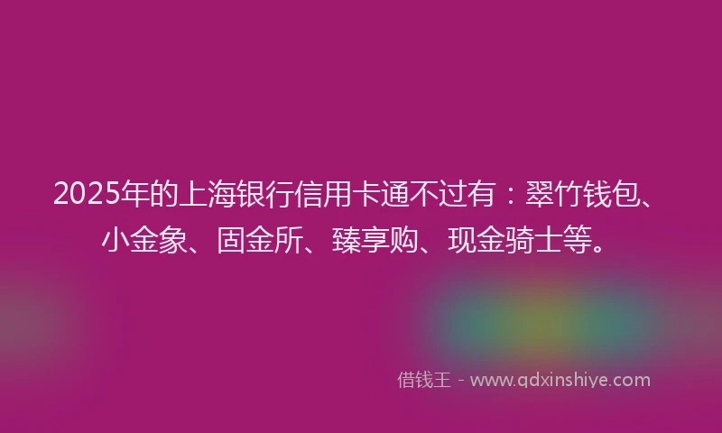 2025年的上海银行信用卡通不过有：翠竹钱包、小金象、固金所、臻享购、现金骑士等。