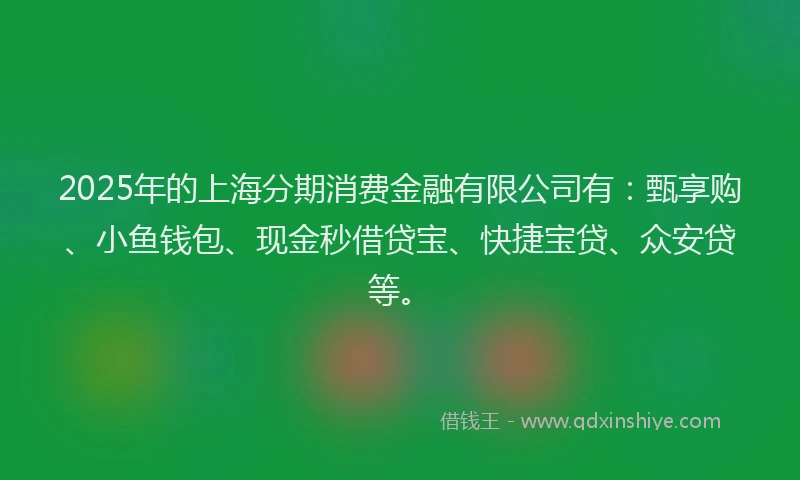2025年的上海分期消费金融有限公司有：甄享购、小鱼钱包、现金秒借贷宝、快捷宝贷、众安贷等。