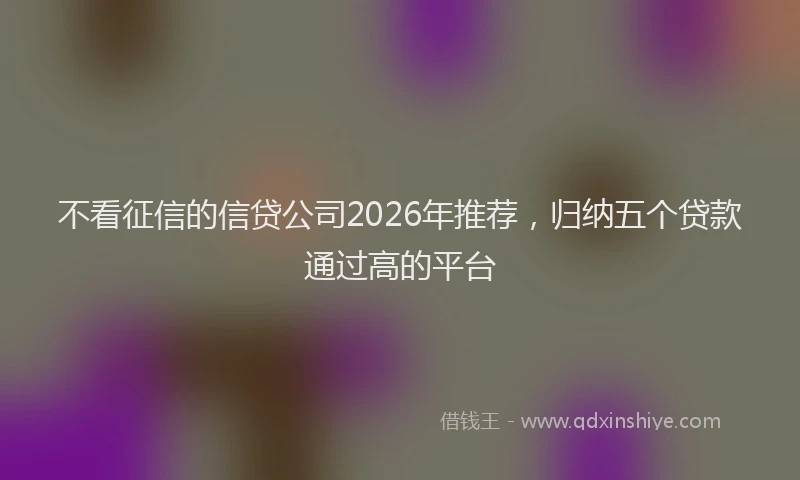 不看征信的信贷公司2026年推荐，归纳五个贷款通过高的平台