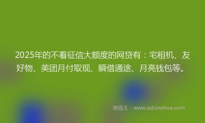 2025年的不看征信大额度的网贷有：宅租机、友好物、美团月付取现、瞬借通途、月亮钱包等。