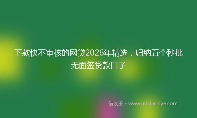 下款快不审核的网贷2026年精选，归纳五个秒批无面签贷款口子