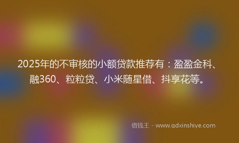 2025年的不审核的小额贷款推荐有:盈盈金科、融360、粒粒贷、小米随星借、抖享花等。