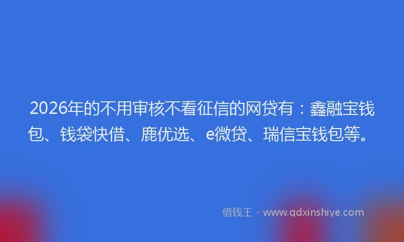 2026年的不用审核不看征信的网贷有：鑫融宝钱包、钱袋快借、鹿优选、e微贷、瑞信宝钱包等。