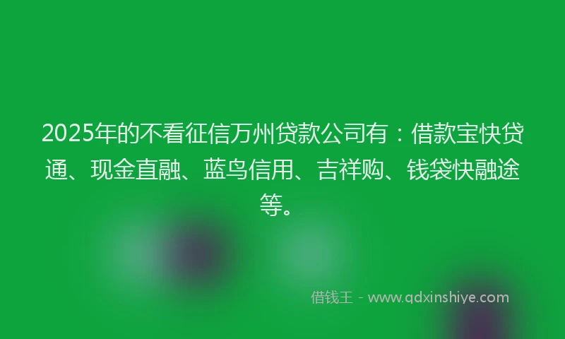 2025年的不看征信万州贷款公司有：借款宝快贷通、现金直融、蓝鸟信用、吉祥购、钱袋快融途等。