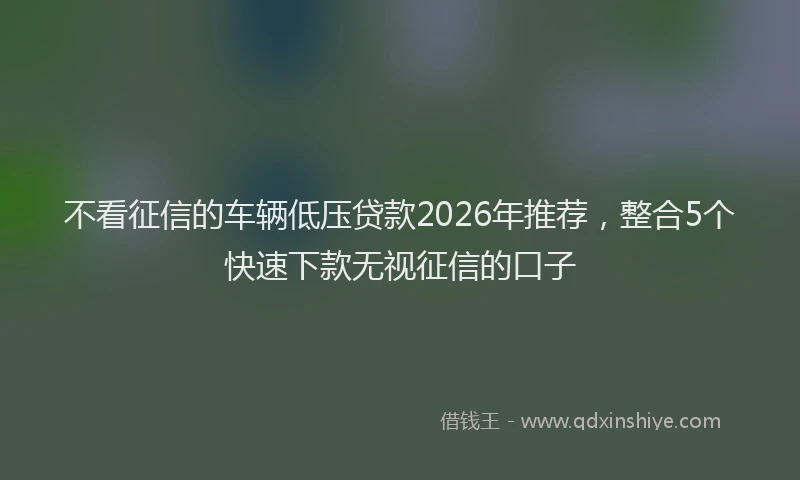 不看征信的车辆低压贷款2026年推荐,整合5个快速下款无视征信的口子