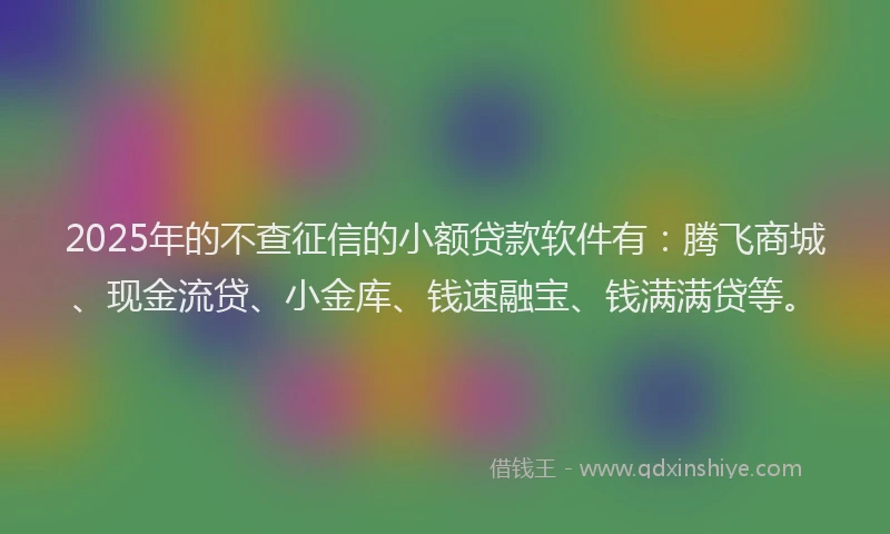 2025年的不查征信的小额贷款软件有：腾飞商城、现金流贷、小金库、钱速融宝、钱满满贷等。